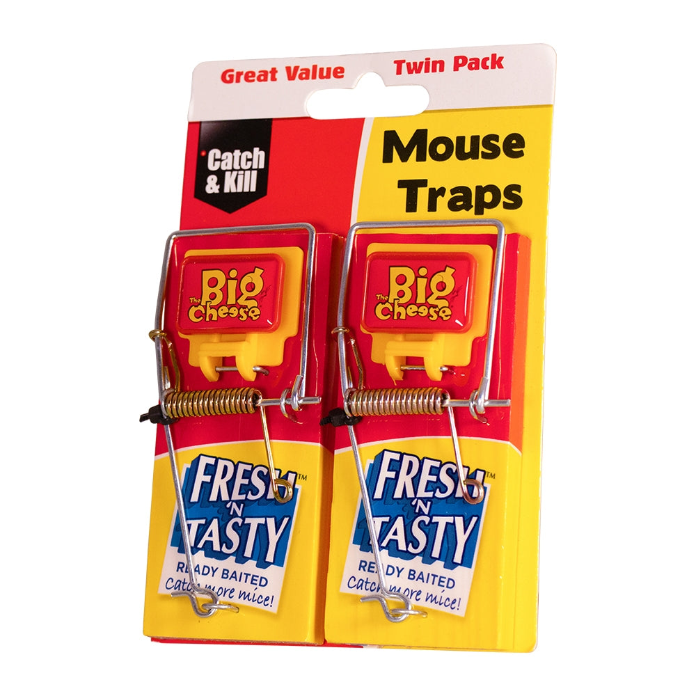 STV Big Cheese Fresh Baited Mouse Trap 2-Pack