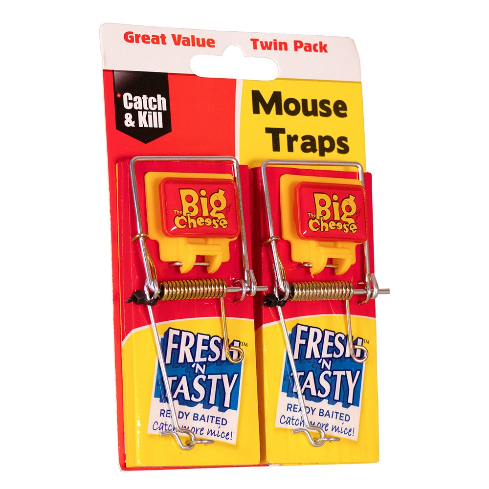 STV Big Cheese Fresh Baited Mouse Trap 2-Pack