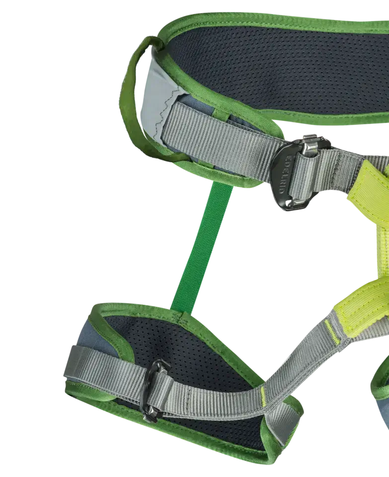 Edelrid Zack Gym Climbing Sit Harness