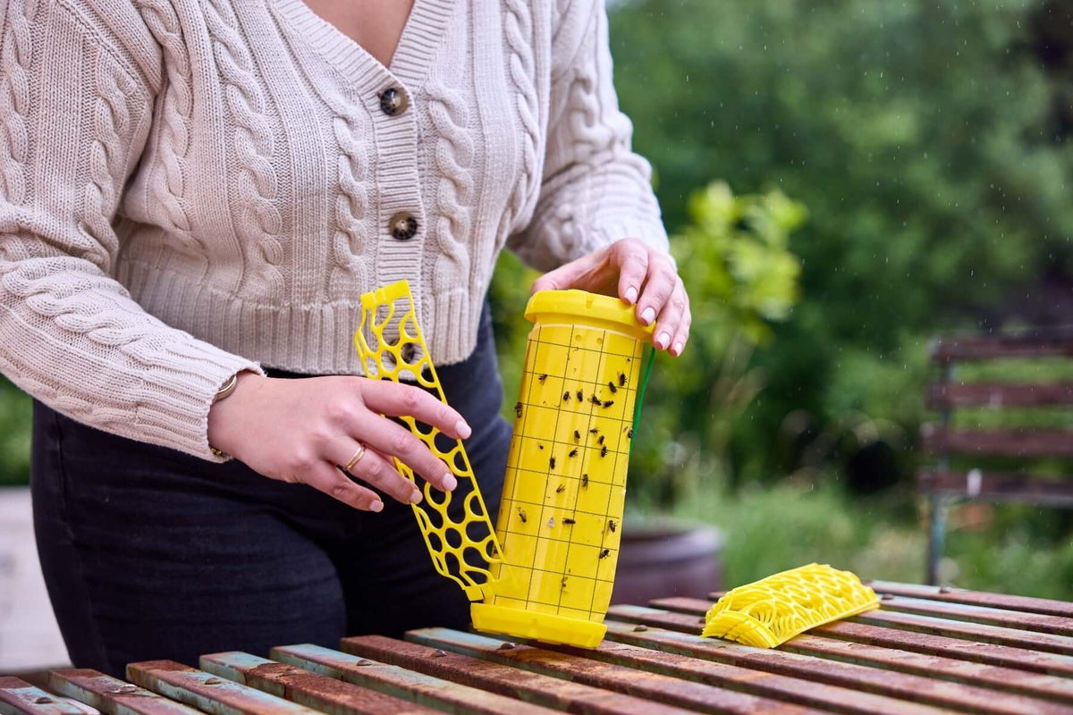 STV Zero In New Gen Fly Traps Refills 3-Pack - Shop Pest Control Traps at Trekaline