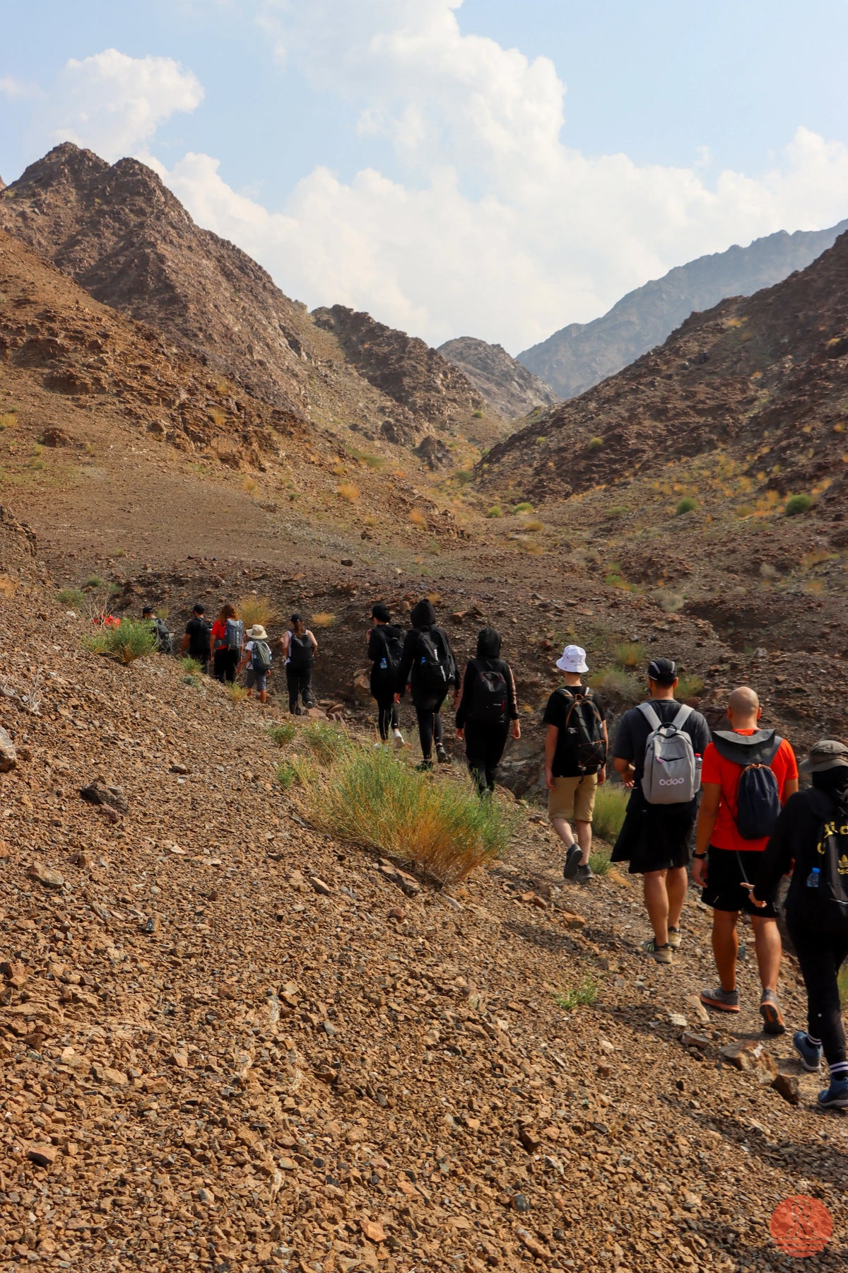 Hiking Adventures Booking & Guided Trips - Trekaline