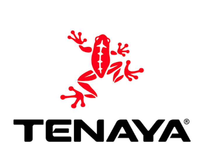 Tenaya Climbing Shoes for Bouldering Sport and Gym