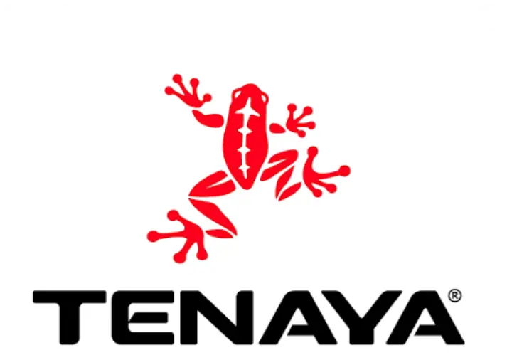 Tenaya Climbing Shoes for Bouldering Sport and Gym