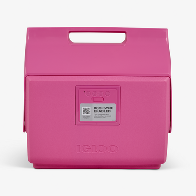 KoolTunes 14Qt / 13L Boombox Cooler - Shop  Hard-sided Coolers at  Trekaline