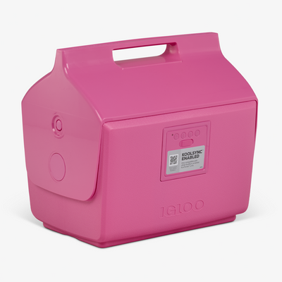 KoolTunes 14Qt / 13L Boombox Cooler - Shop  Hard-sided Coolers at  Trekaline