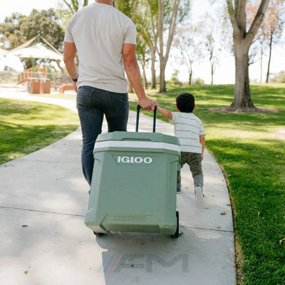 Igloo Ecocool Roller Cooler Vintage Green 60 Quart - Shop  Hard-sided Coolers at  Trekaline