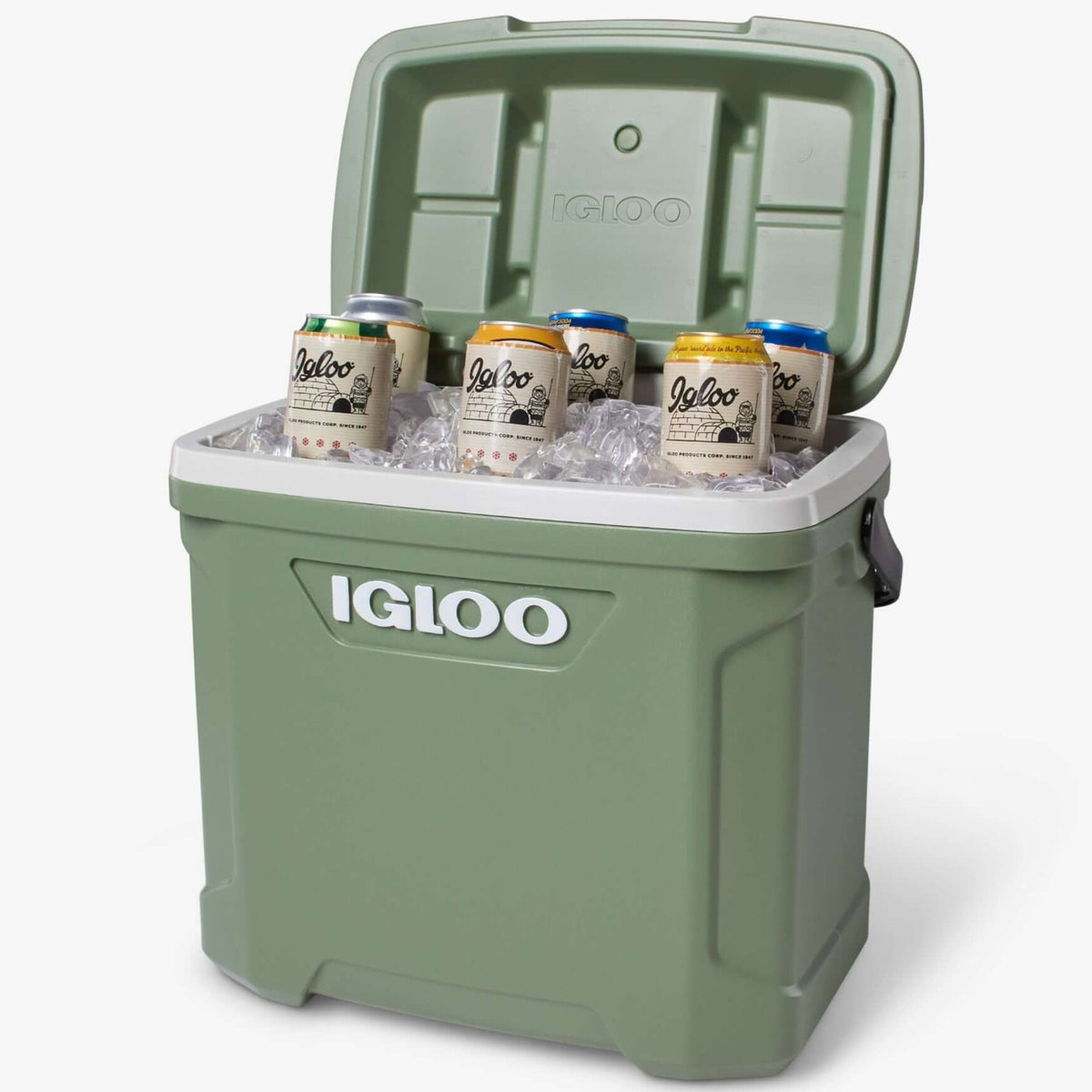 Igloo Ecocool Latitude Hard Cooler Box 30 Quart - Shop  Hard-sided Coolers at  Trekaline