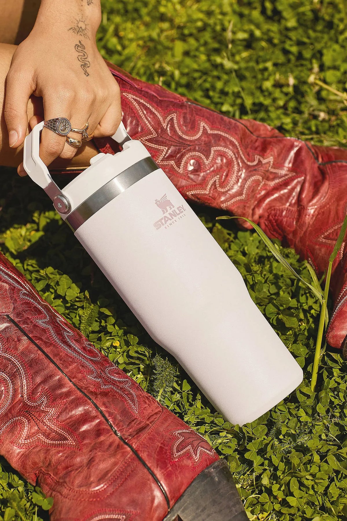 Stanley IceFlow Flip Straw Tumbler 30 oz - Shop  Tumblers at  Trekaline