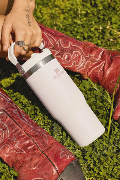 Stanley IceFlow Flip Straw Tumbler 30 oz - Shop  Tumblers at  Trekaline