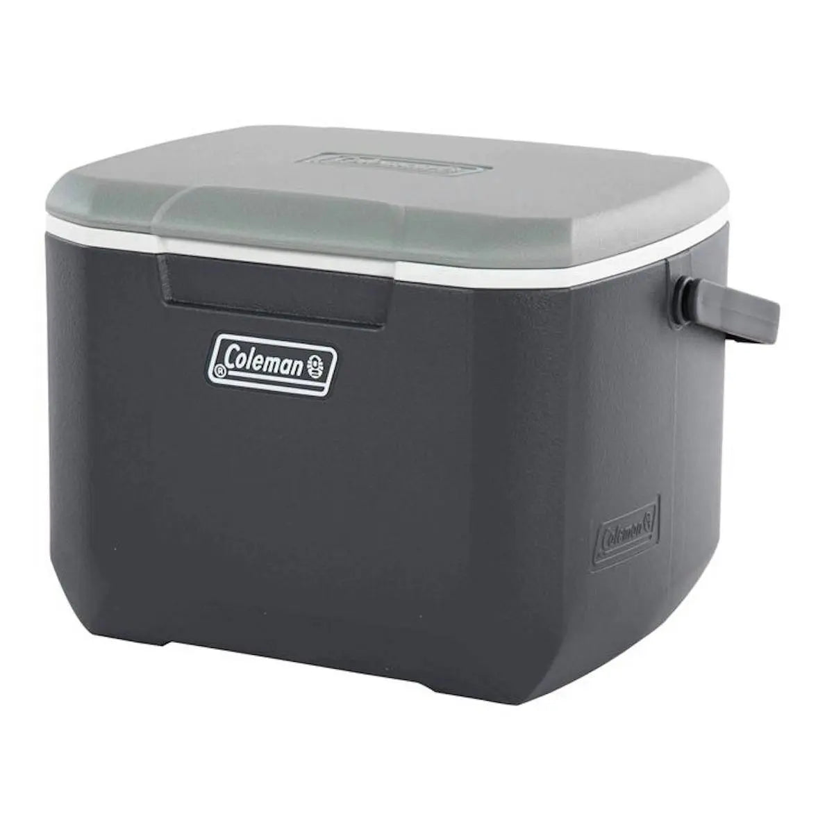 Coleman Daintree 15L Personal Hard Cooler - Shop  Hard-sided Coolers at  Trekaline