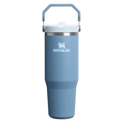 Stanley IceFlow Flip Straw Tumbler 30 oz - Shop  Tumblers at  Trekaline