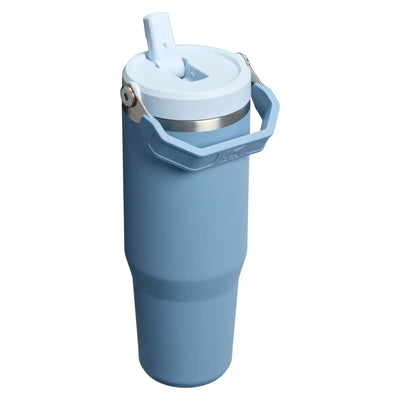 Stanley IceFlow Flip Straw Tumbler 30 oz - Shop  Tumblers at  Trekaline