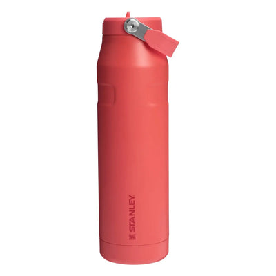 Stanley IceFlow Bottle with Flip Straw Lid - 34 oz / 1 L