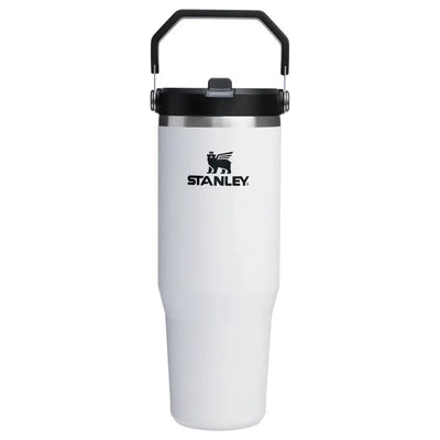 Stanley IceFlow Flip Straw Tumbler 30 oz - Shop  Tumblers at  Trekaline