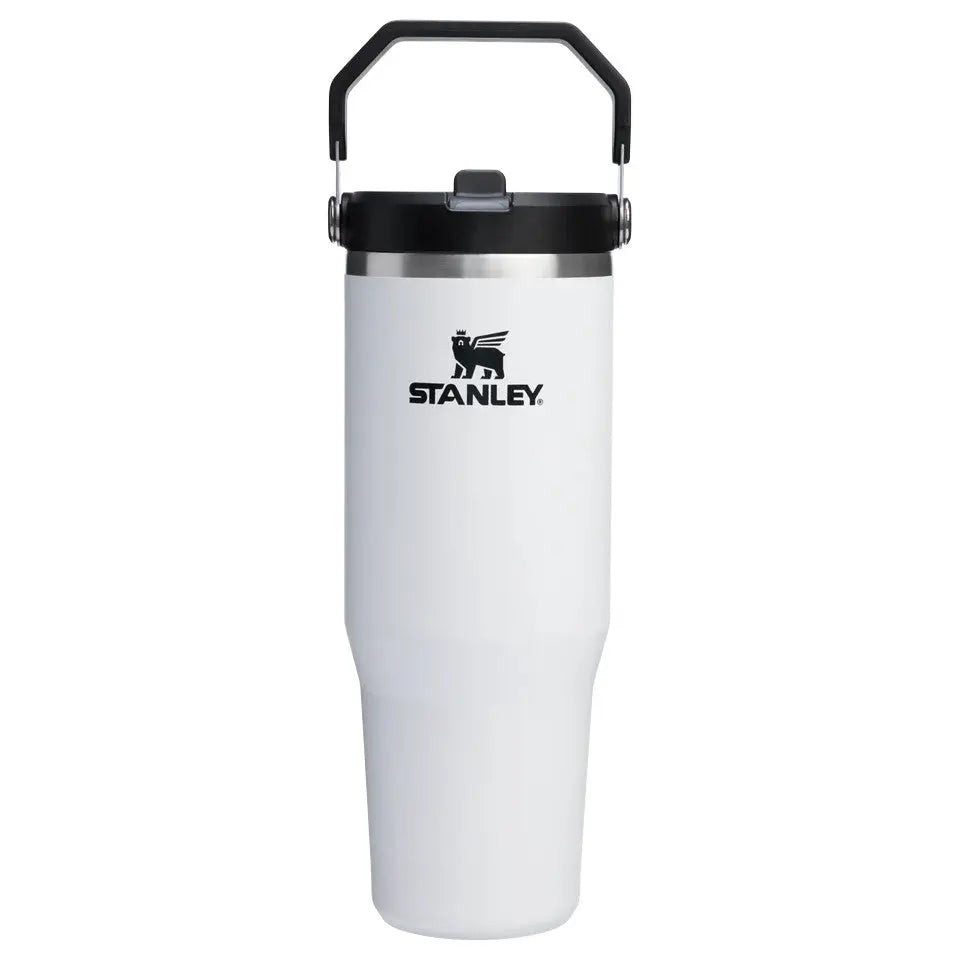Stanley IceFlow Flip Straw Tumbler 30 oz - Shop  Tumblers at  Trekaline