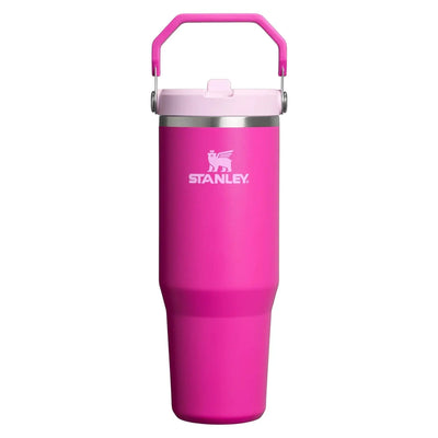 Stanley IceFlow Flip Straw Tumbler 30 oz - Shop  Tumblers at  Trekaline