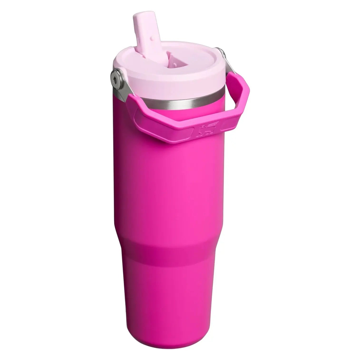 Stanley IceFlow Flip Straw Tumbler 30 oz - Shop  Tumblers at  Trekaline