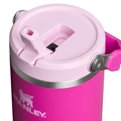 Stanley IceFlow Flip Straw Tumbler 30 oz - Shop  Tumblers at  Trekaline