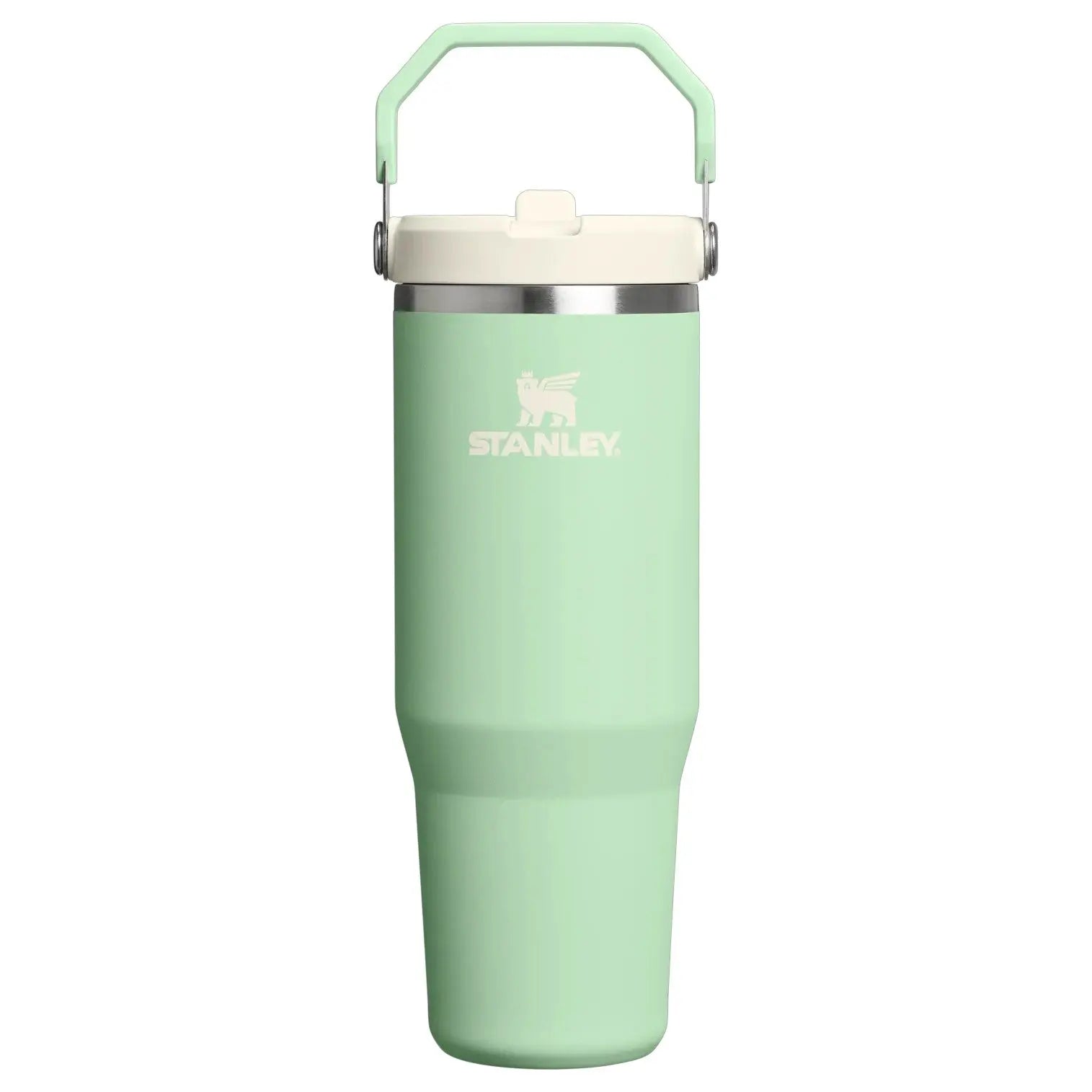 Stanley IceFlow Flip Straw Tumbler 30 oz - Shop  Tumblers at  Trekaline