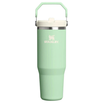 Stanley IceFlow Flip Straw Tumbler 30 oz - Shop  Tumblers at  Trekaline