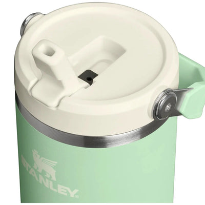 Stanley IceFlow Flip Straw Tumbler 30 oz - Shop  Tumblers at  Trekaline