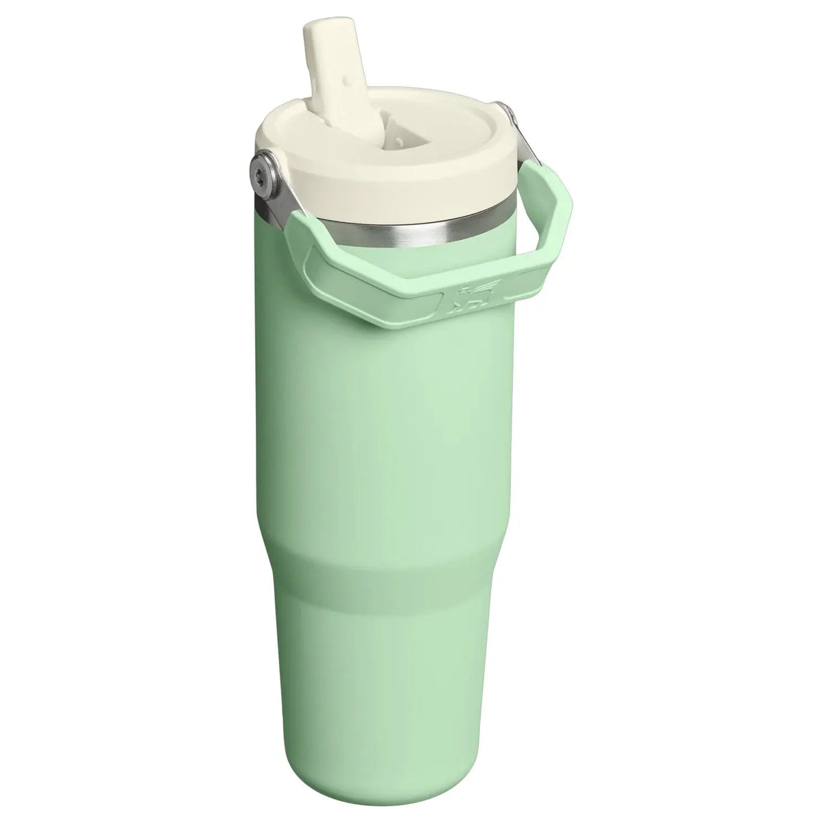 Stanley IceFlow Flip Straw Tumbler 30 oz - Shop  Tumblers at  Trekaline
