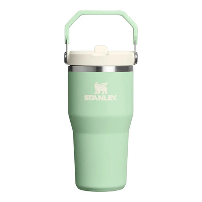Stanley IceFlow Flip Straw Tumbler 20 oz in green, stainless steel with a built-in flip straw, perfect for hydration on the go.