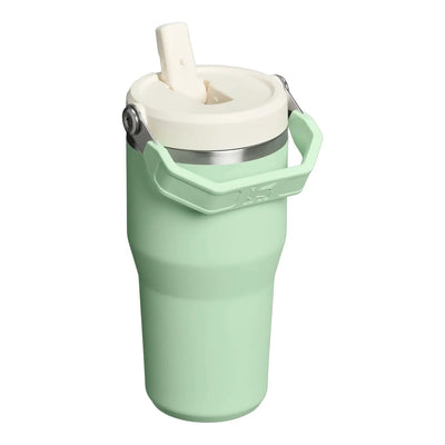 Stanley IceFlow Flip Straw Tumbler 20oz insulated cup in mint green with flip straw design