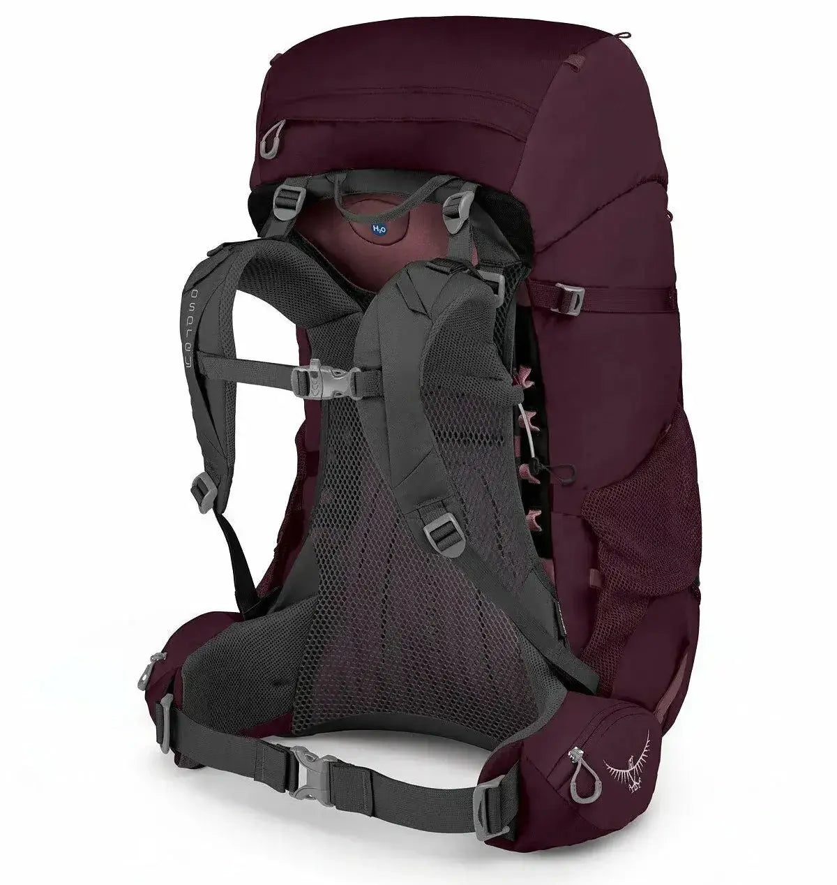 Osprey Renn 65 - Women backpack with raincover, women's specific fit, ideal for backpackers. Certified bluesign® product.