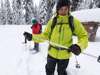 MSR DynaLock Trail Backcountry Poles - Shop  Ski Poles at  Trekaline