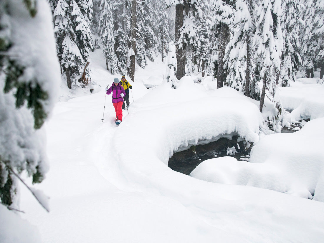 MSR DynaLock Trail Backcountry Poles - Shop  Ski Poles at  Trekaline