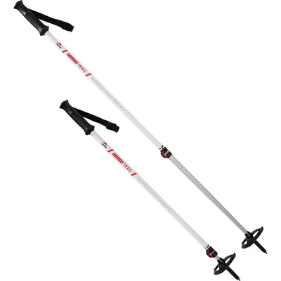 MSR DynaLock Trail Backcountry Poles - Shop  Ski Poles at  Trekaline