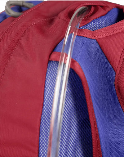 Close-up of Osprey Daylite Jr. - Kids red and blue backpack with hydration-compatible sleeve and ventilated backpanel.
