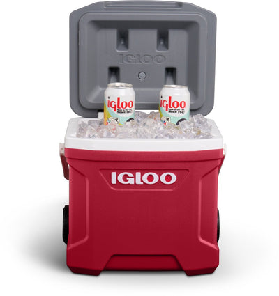 Igloo Latitude 16Qt / 15L Cooler - Shop  Hard-sided Coolers at  Trekaline