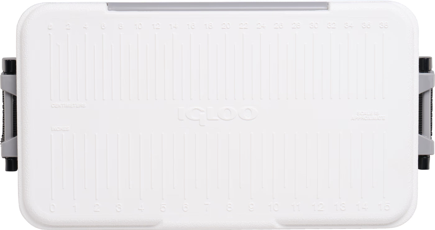 Igloo Latitude Marine Ultra Hard Cooler Box 25 Quart - Shop  Hard-sided Coolers at  Trekaline