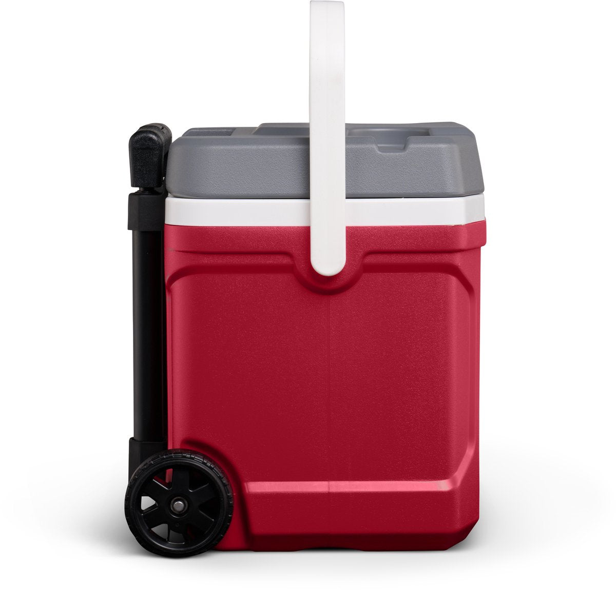 Igloo Latitude 16Qt / 15L Cooler - Shop  Hard-sided Coolers at  Trekaline