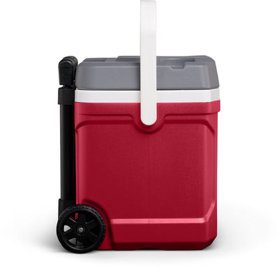 Igloo Latitude 16Qt / 15L Cooler - Shop  Hard-sided Coolers at  Trekaline