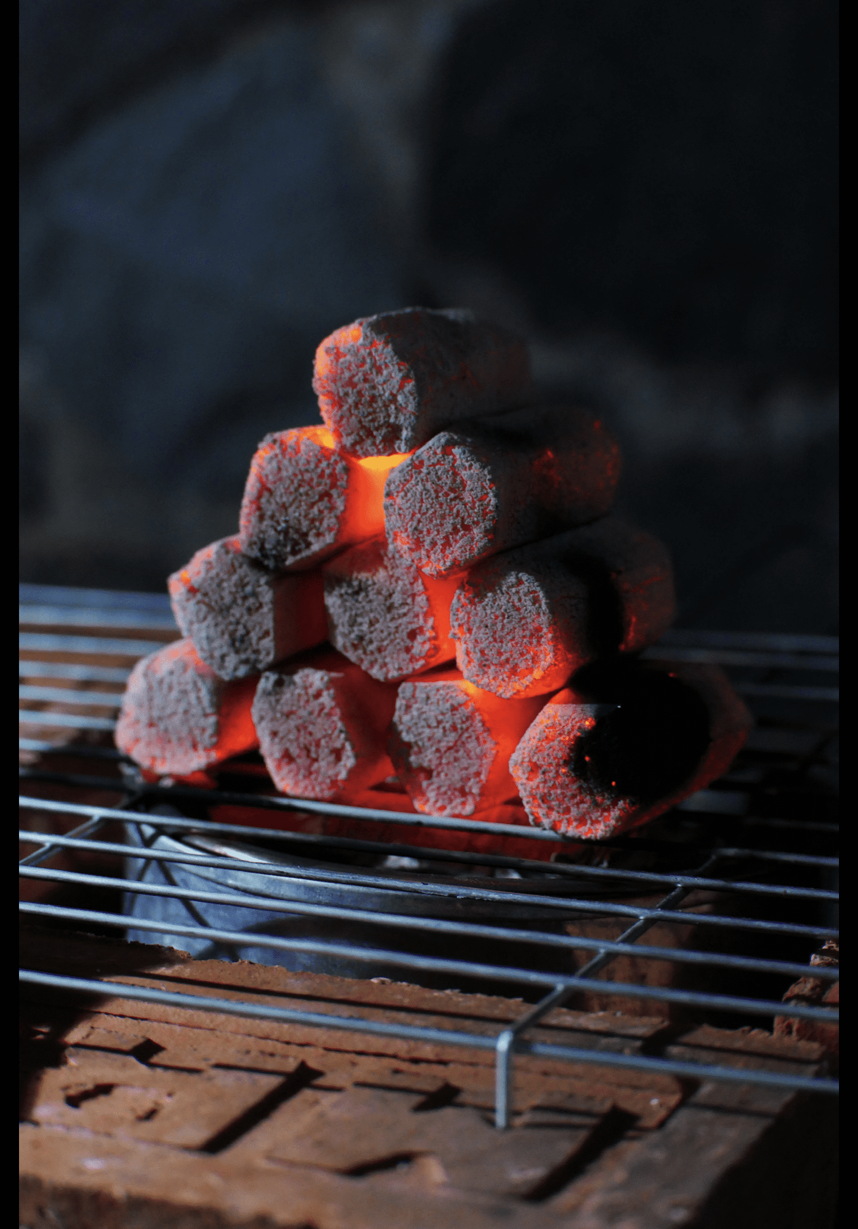 Procamp Master Grill Briquettes 10 kg - Shop  Alternate Fuels at  Trekaline