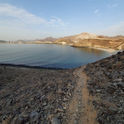 A scenic landscape photograph showing a rocky shoreline with a dirt path leading towards a calm blue body of water, with mountains in the background under a clear blue sky.