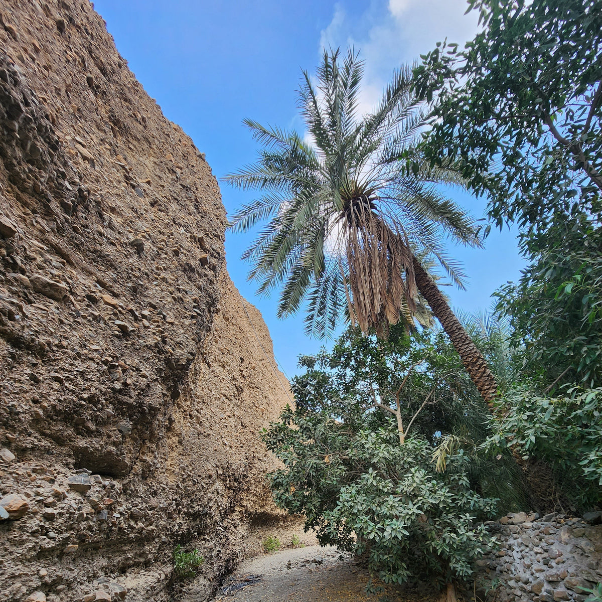 Wadi Qfair Hike - Shop  Hiking Adventures at  Trekaline