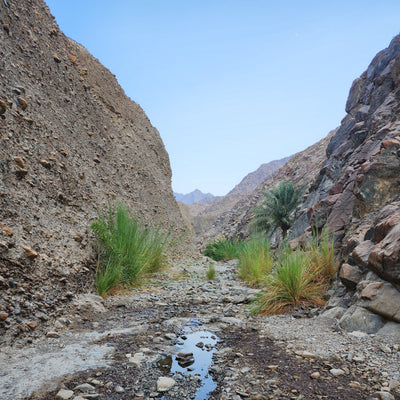 Wadi Qfair Hike - Shop  Hiking Adventures at  Trekaline