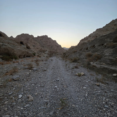 A low-angle outdoor photograph showing a steep rocky cliff face and gravelly ground under a pale sky, with the sun low on the horizon.