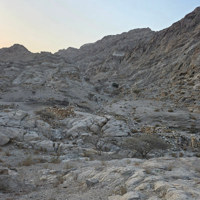 A rocky desert mountain landscape with pale gray stone formations, sparse shrubs, and a clear pale sky.