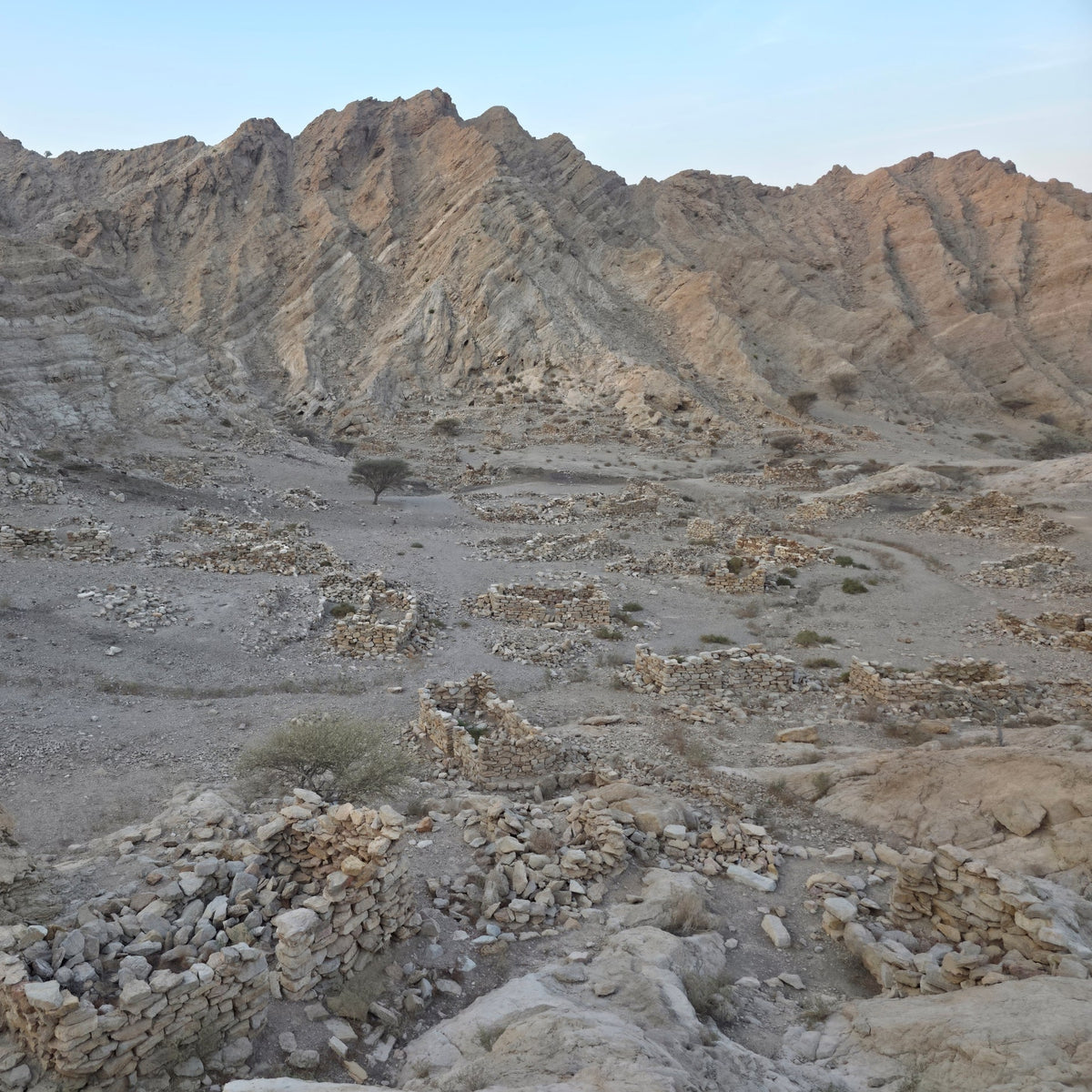 A wide view of a rocky desert mountain landscape with layered tan and brown cliffs, scattered stones, sparse shrubs, and a pale blue sky.