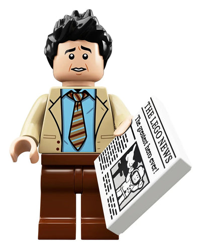 LEGO Ideas Friends Central Perk Building Set - Shop  Indoor Toys at  Trekaline