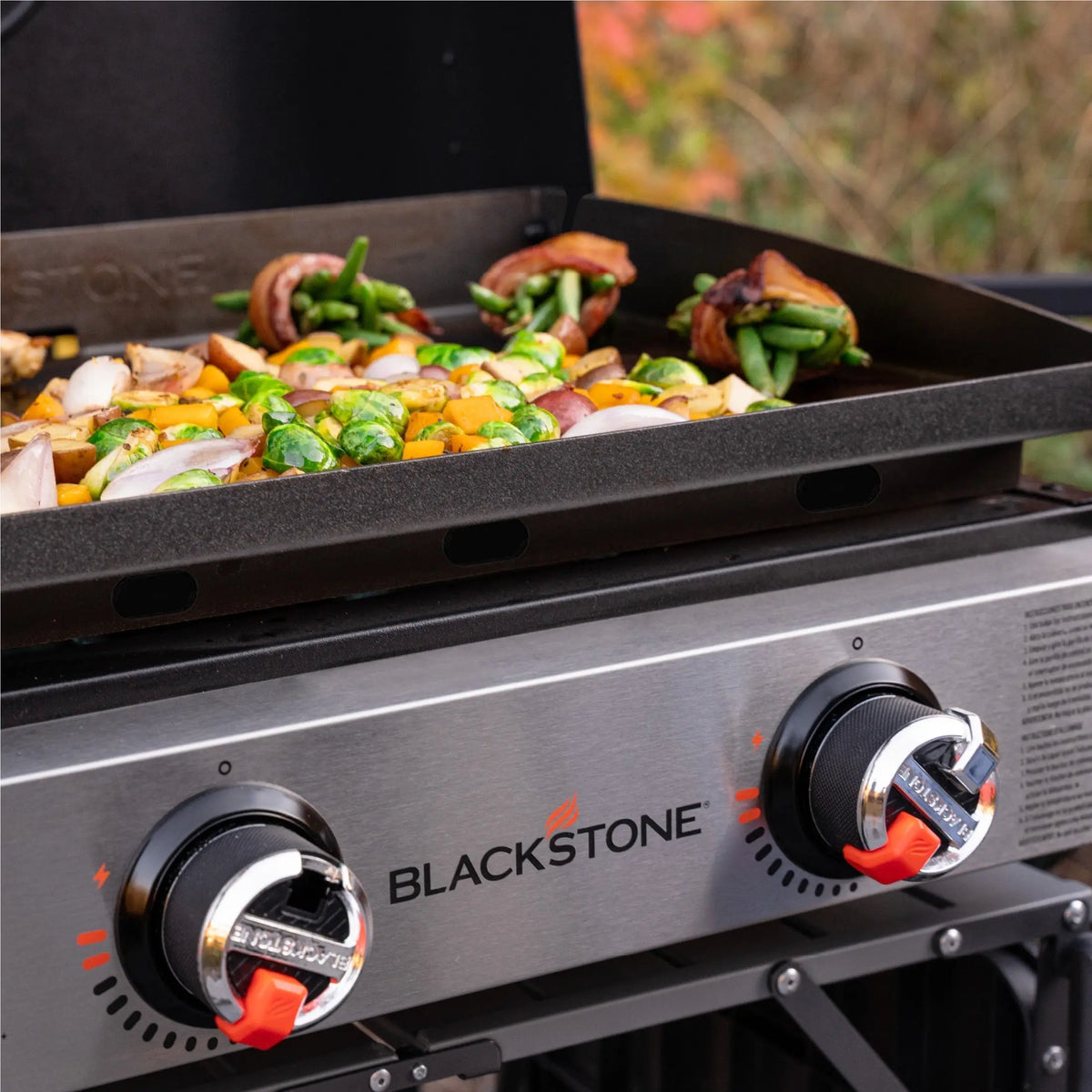 Blackstone 22 Inch Table Top Griddle With Hood - Shop  Griddles at  Trekaline