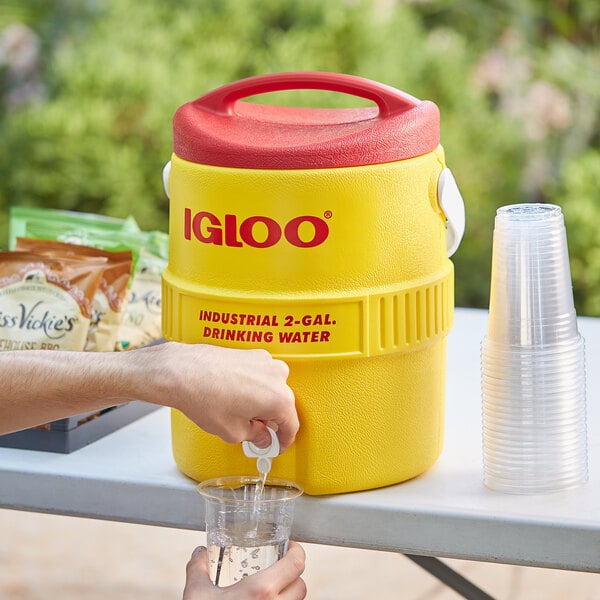 Igloo 400 Series Water Jug 2 Gallon - Shop  Water Jugs at  Trekaline