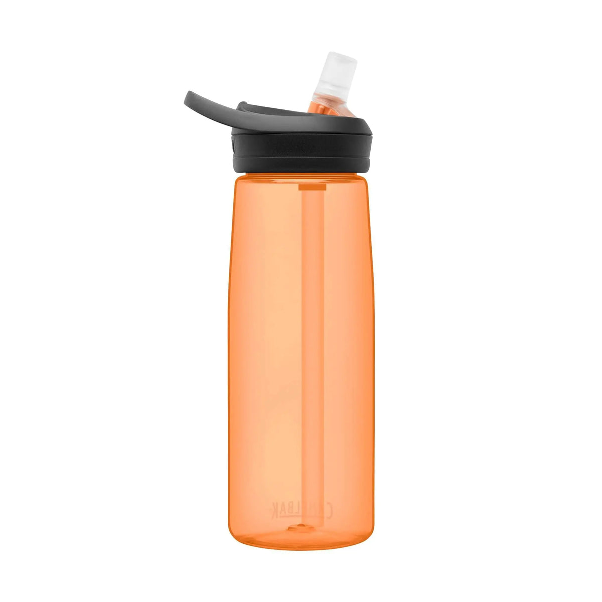 CamelBak Eddy+ 25oz Tritan Bottle with Straw