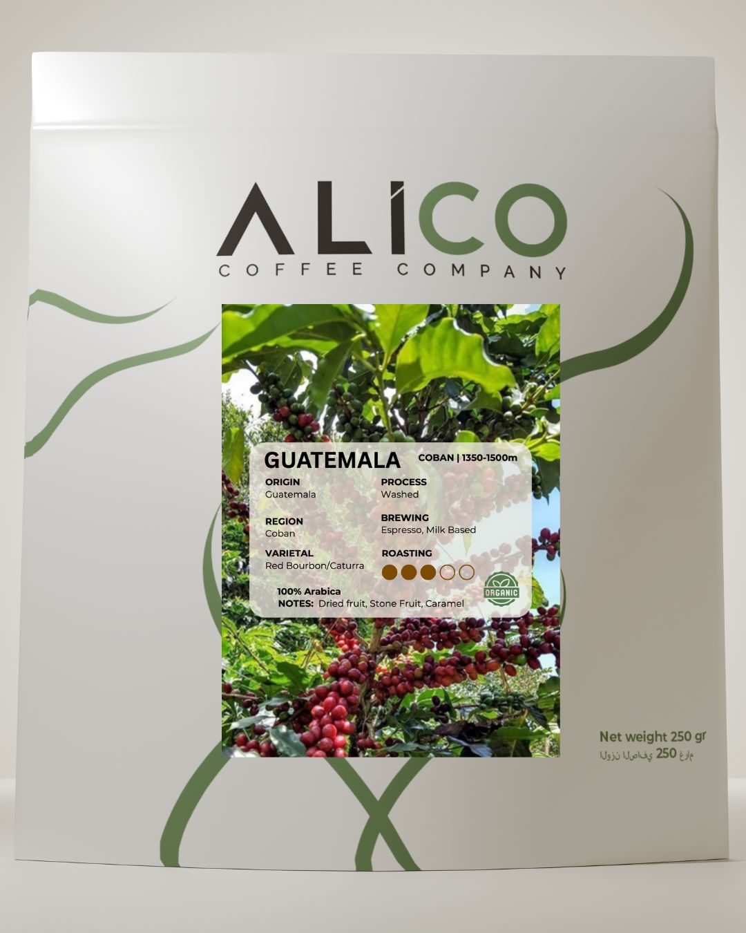 Alico Fine Roasters Guatemala Coban Coffee