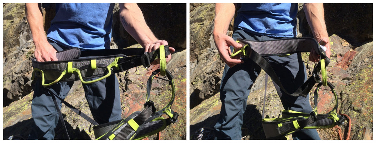 Edelrid Zack Gym Climbing Sit Harness - Shop Climbing Harnesses at Trekaline